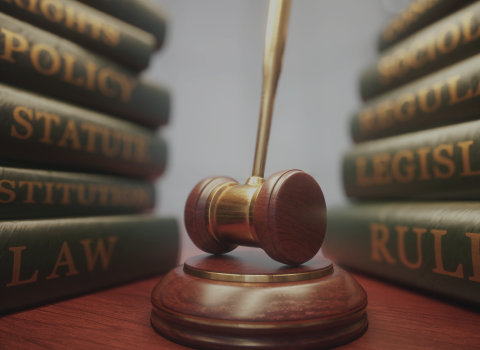 PUA-Servicios-Penal-1 PUA-Servicios-Penal-1